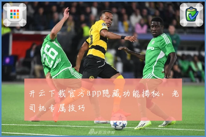 开云下载官方app隐藏功能揭秘，老司机专属技巧