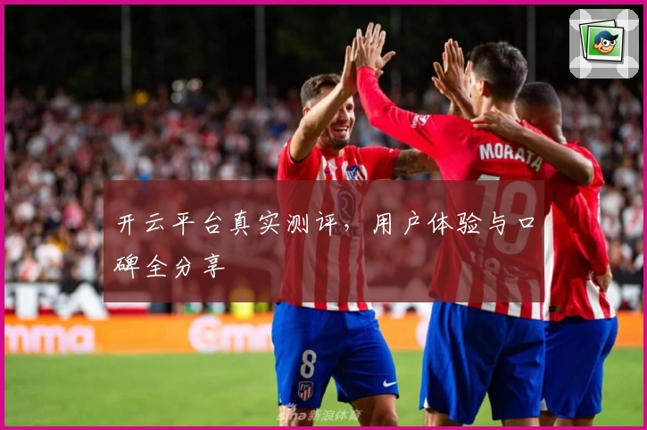 开云平台真实测评,用户体验与口碑全分享