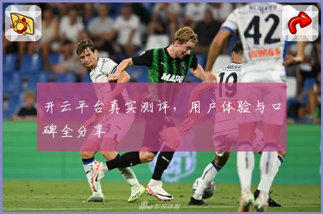 开云平台真实测评,用户体验与口碑全分享