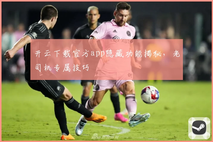 开云下载官方app隐藏功能揭秘，老司机专属技巧