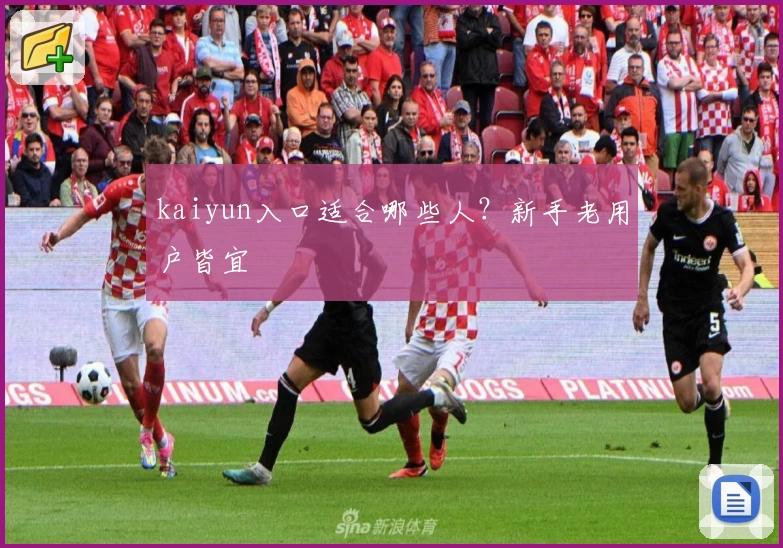 kaiyun入口适合哪些人？新手老用户皆宜