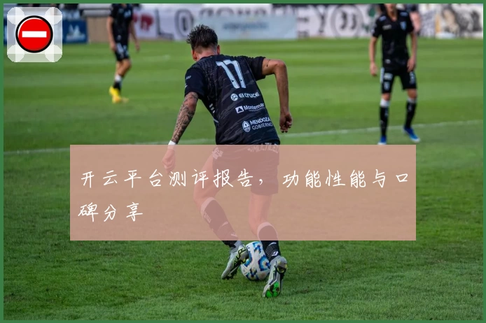 开云平台测评报告，功能性能与口碑分享