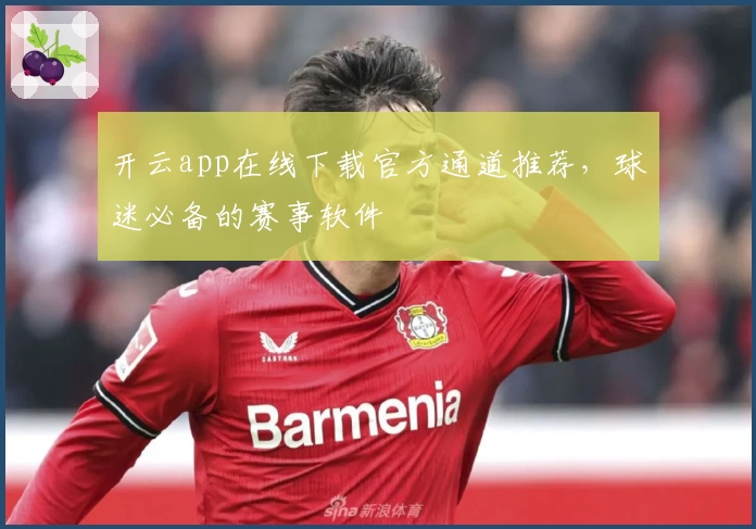 开云app在线下载官方通道推荐，球迷必备的赛事软件