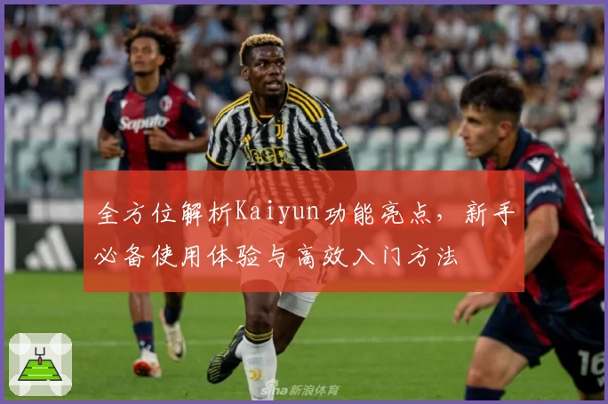 全方位解析Kaiyun功能亮点，新手必备使用体验与高效入门方法